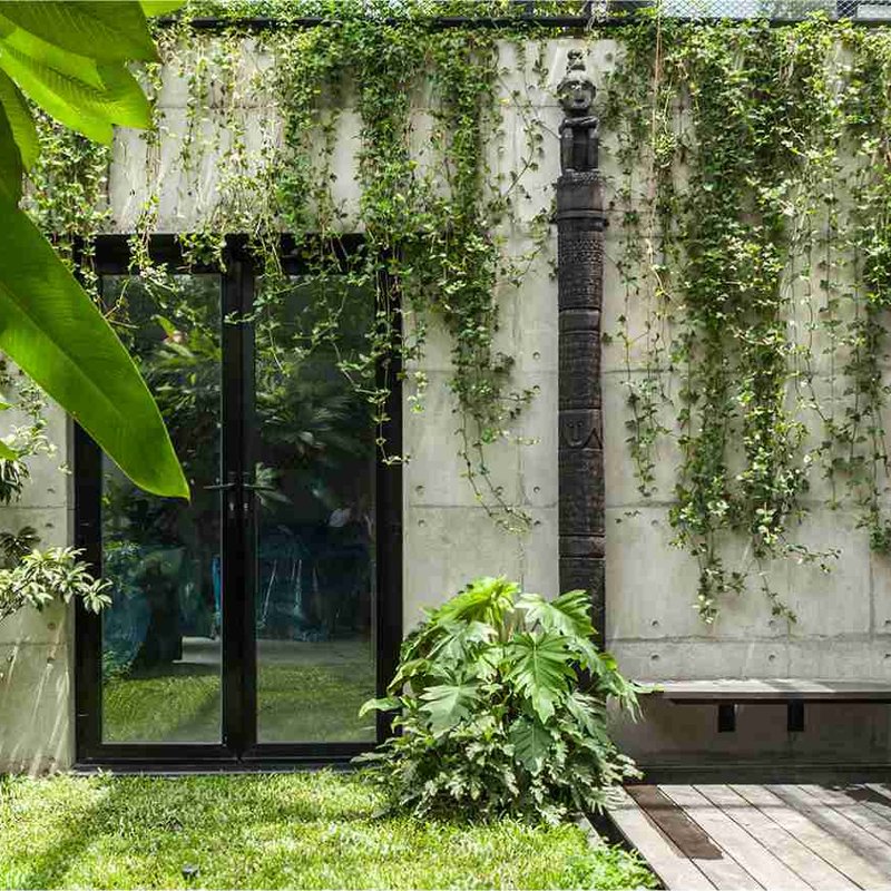 LIVING IN THE TROPICAL LAND